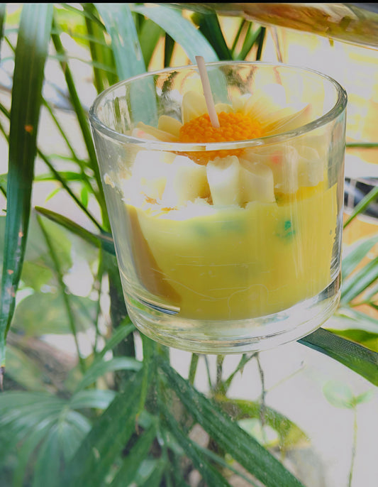 Aroma Daisy Jar Candle